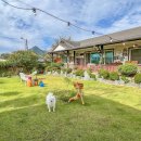 스텔라의 행복정원 이미지