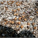 금산정미소 이미지