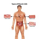 우리기전 이미지