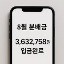 8월(월) 이미지