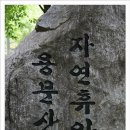 백운봉주유소 이미지