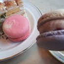 러브에이드 이미지