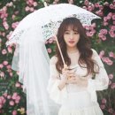 모던달빛 이미지