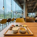 힐링복싱캠프 | 겨울방학 잉글리프 가족연수 4주 후기(+에코캠퍼스)