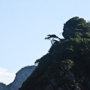여지(餘地) 이미지