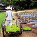 하늘땅바람 이미지