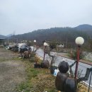 무안전통시장(야외) 이미지