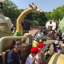 박은혜 카카오 검색결과