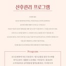 커피사피엔스 문래 동국메뜨리앙점 | 문래동바디케어 ‘다헤라뷰티’에서 출산 6개월차 산후마사지 솔직후기