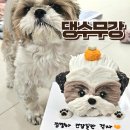 댕수무강 | 대구강아지케이크 앞산카페거리 댕수무강 입체얼굴 케이크 후기