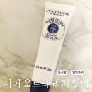 본리치 | 록시땅 시어 울트라 리치 립밤 선물 받아써본 후기