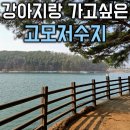 포천시립영북도서관 | 포천 강아지와 산책하기 좋은 고모저수지 둘레길 주차, 반려동반 카페 추천