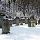 양양명주사부도군 이미지