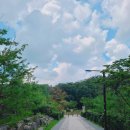 퐁당 아쿠아 카페 네이버블로그
