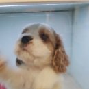 (주)네오제닉