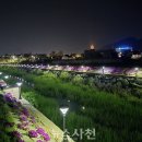 봉남천 이미지
