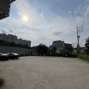 댕댕아 학교가자 이미지