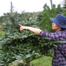 한라산을바라보는쉼터 이미지