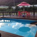 힐링독아카데미 이미지