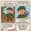 자연의상실