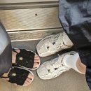 해계머니 | 강릉 1박2일 여행후기