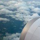 제주돌집 탱자싸롱 | JEJU ! - !