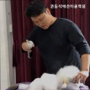 권동석애견미용학원