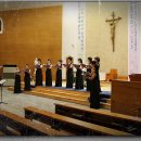 아마빌리스 이미지