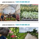 용인시청 사회적기업 SNS기자단 특강 후기