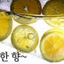 썬피티스튜디오 네이버블로그