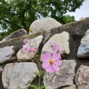 강산에 글램핑 이미지