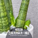 오전꽃농원 이미지