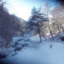 푸른산농원 이미지