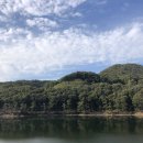 레드브릿지 이미지