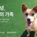 포인