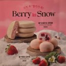 이디야커피 부산엄궁동점 | 이디야커피 메뉴 생과일 제주감귤주스 딸기쏙쏙 모찌떡 신메뉴 후기