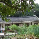 선린사 Daum카페