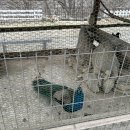 해피소울 이미지