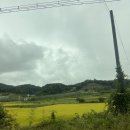 부석옛날묵집 이미지