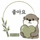 이경우 | [모니터암 추천]카멜 패브릭 거치대 모니터암 CA3D(2년 사용후 폐기 후기)