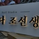 바르다조선생 이미지