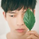 데이원더뮤직 이미지