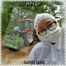 황준목장 네이버블로그