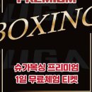 슈가복싱 프리미엄 이미지