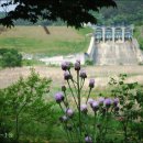 백양사역 이미지