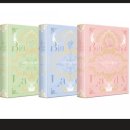 레이디폼 이미지