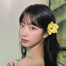 카즈하 카카오 검색결과