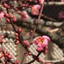 일기일회 이미지