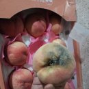 GS사직점 이미지