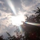 비비큐치킨진량점 이미지